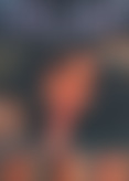 T*t 10