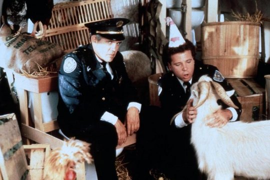 Police Academy 5 - Auftrag Miami Beach - Szenenbild 1 Police Academy 5 - Auftrag Miami Beach - Szenenbild 1