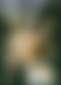 T*g D*k V*. 7*: G*o B*z