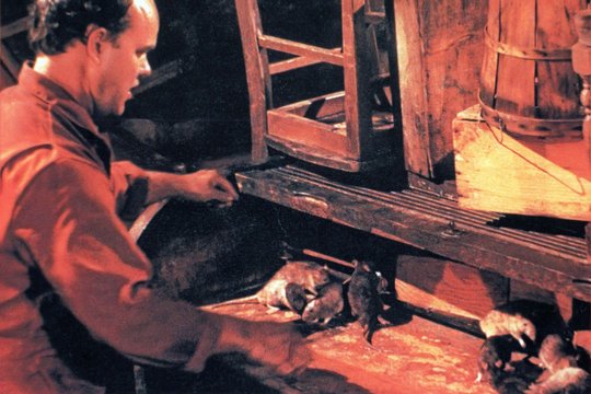 Stephen Kings Nachtschicht - Szenenbild 4 Stephen Kings Nachtschicht - Szenenbild 4