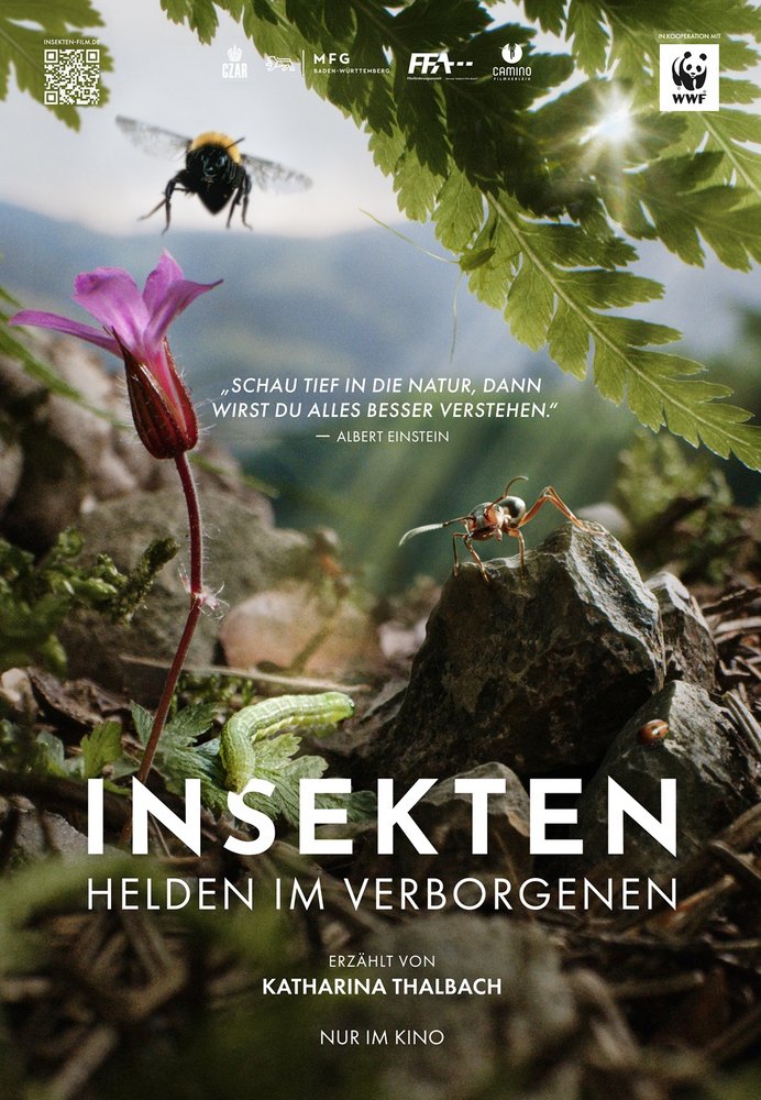 Insekten - Helden im Verborgenen - DVD Front-Cover Insekten - Helden im Verborgenen - DVD Front-Cover