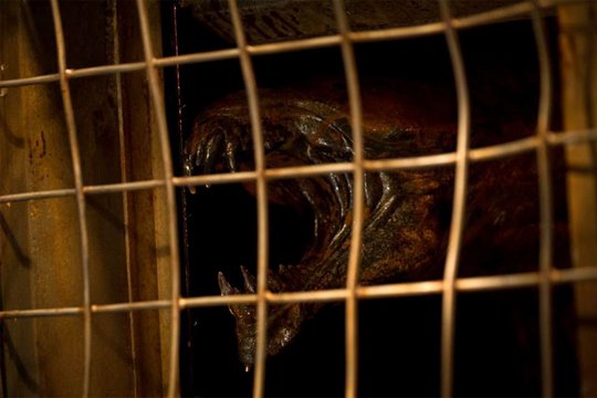 Riddick - Überleben ist seine Rache - Szenenbild 3