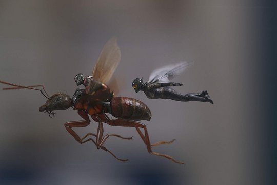 Ant-Man 2 - Ant-Man and the Wasp - Szenenbild 8