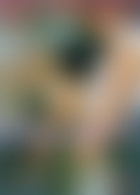 S*, S*, S*x - W*r f*n d*.