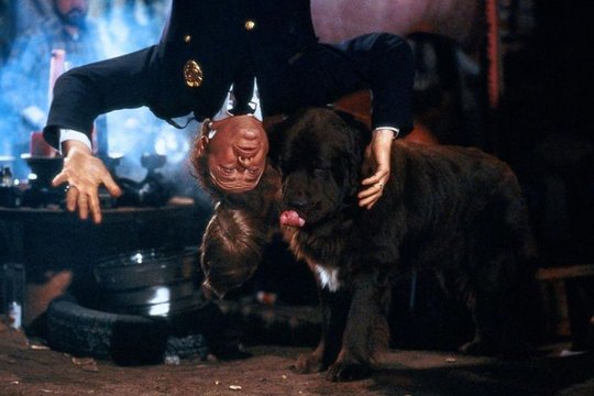 Police Academy 2 - Jetzt geht’s erst richtig los - Szenenbild 19 Police Academy 2 - Jetzt geht’s erst richtig los - Szenenbild 19