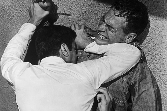 Ein charmanter Hochstapler - Szenenbild 6 Ein charmanter Hochstapler - Szenenbild 6