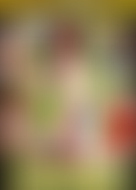 D*y & K*y M*e W*n 29