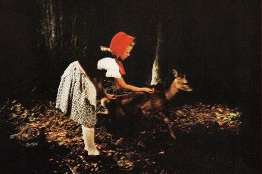 Rotkäppchen - Szenenbild 3 Rotkäppchen - Szenenbild 3