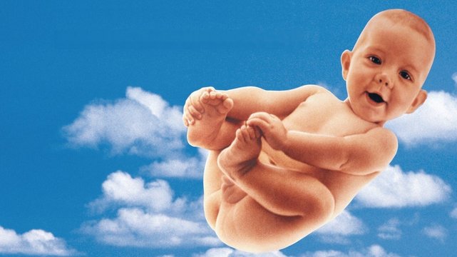 Garp und wie er die Welt sah - Wallpaper 3 Garp und wie er die Welt sah - Wallpaper 3