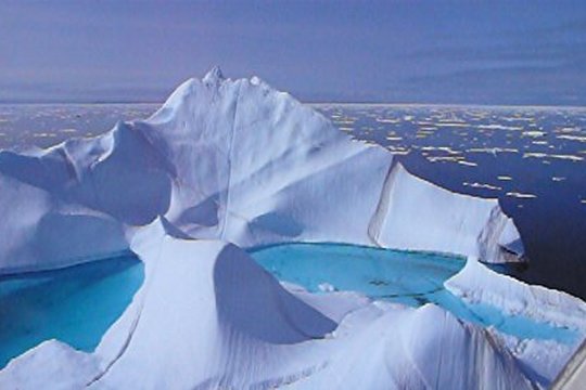 IMAX - Wonders of the Arctic - Szenenbild 9