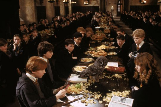 Harry Potter und die Kammer des Schreckens - Szenenbild 8