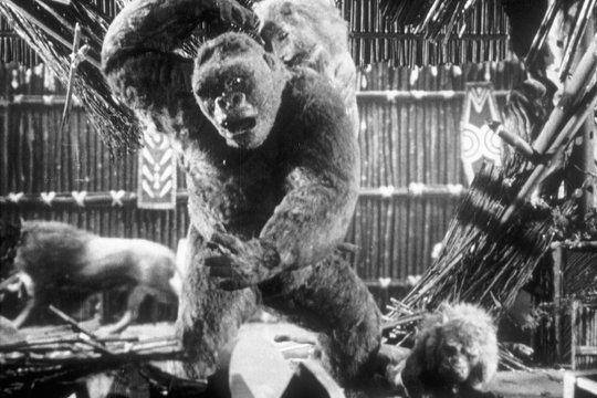 Panik um King Kong - Szenenbild 2 Panik um King Kong - Szenenbild 2