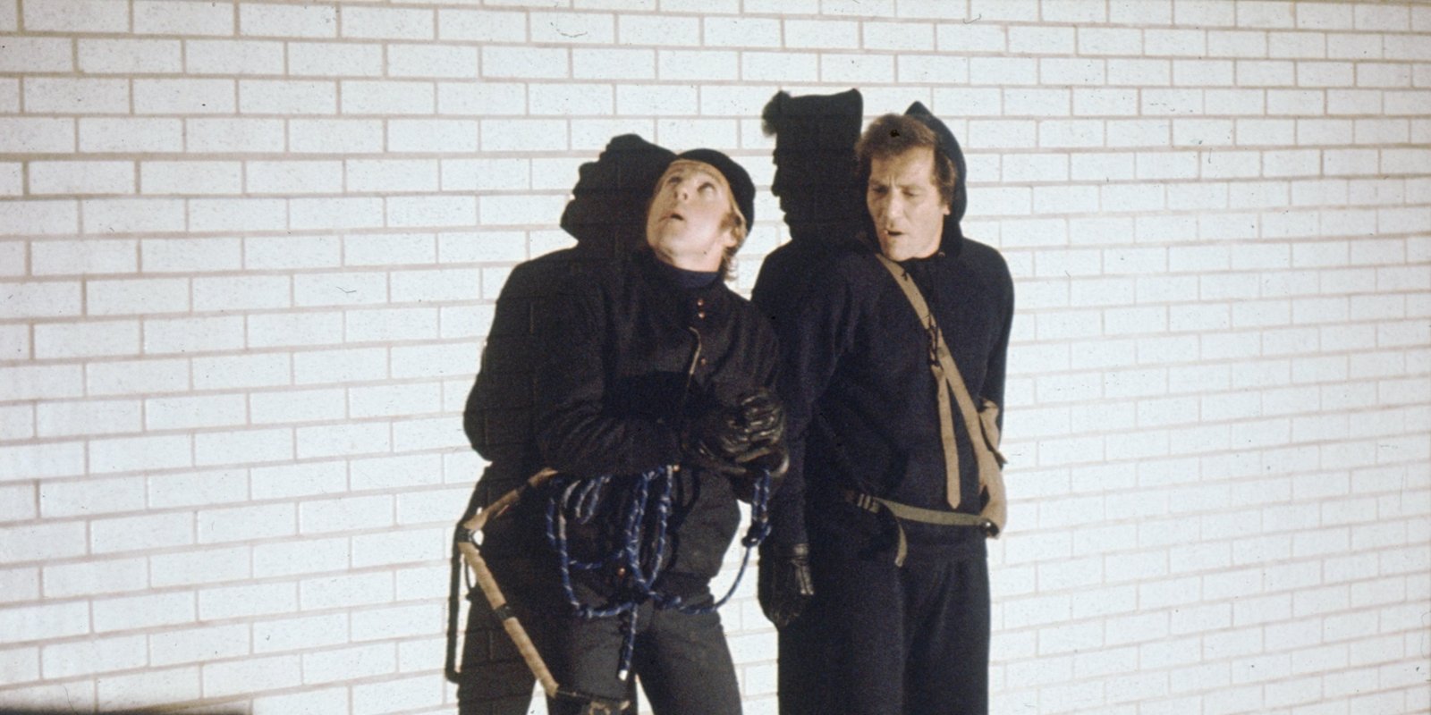 Vier schräge Vögel