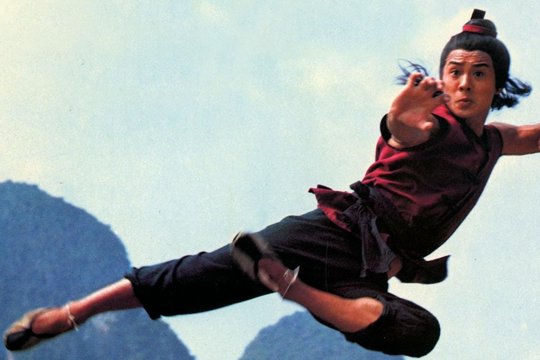 Meister der Shaolin 2 - Kinder der Rache - Szenenbild 2 Meister der Shaolin 2 - Kinder der Rache - Szenenbild 2