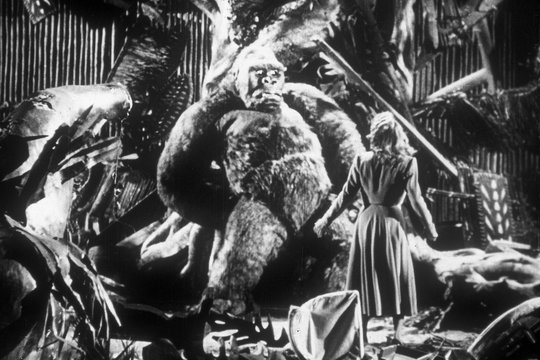 Panik um King Kong - Szenenbild 7 Panik um King Kong - Szenenbild 7