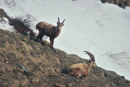 Fiore Mio - Szenenbild 8 Fiore Mio - Szenenbild 8