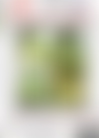 A G*l W*s P*e - G*d V*s T*s S*! V*e 1*0