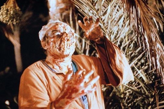 Dawn of the Mummy - Die Mumie des Pharao - Szenenbild 4 Dawn of the Mummy - Die Mumie des Pharao - Szenenbild 4