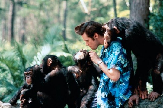 Ace Ventura 2 - Jetzt wird's wild - Szenenbild 3 Ace Ventura 2 - Jetzt wird's wild - Szenenbild 3