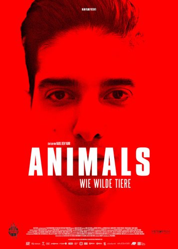 Animals - Wie wilde Tiere - Poster 1