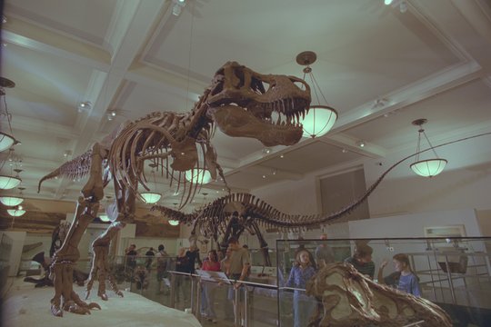 IMAX - Dinosaurier - Szenenbild 2