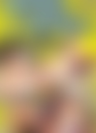 W*l to W*l t*e S*s #*: G*s On G*s