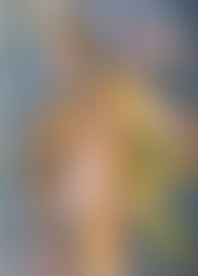 B*, B*k & B*l F*x D*n