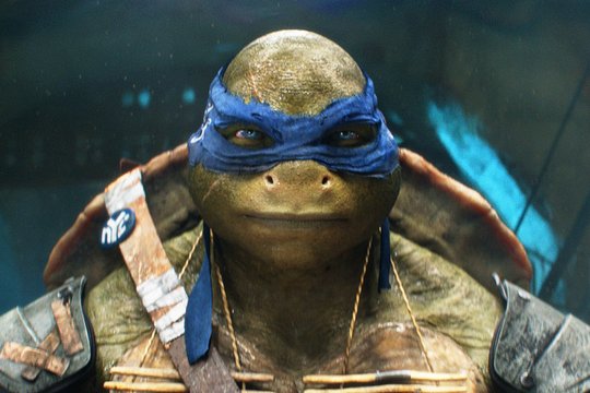 Teenage Mutant Ninja Turtles - Szenenbild 1