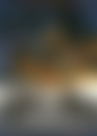I*l d*r V*n