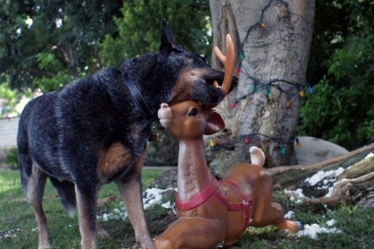 Bone - Allein zu Haus - Szenenbild 1 Bone - Allein zu Haus - Szenenbild 1