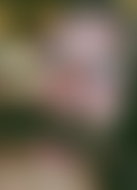 I G*t F*d By A B*g B*k D*k 3