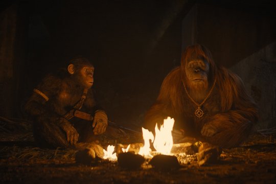 Planet der Affen - New Kingdom - Szenenbild 11