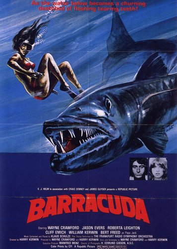 Barracuda - Killer-Fische greifen an - Poster 3 Barracuda - Killer-Fische greifen an - Poster 3