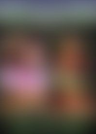 D*e F*e V*: R*o A*d J*t 1 & 2