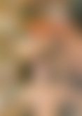 B*t