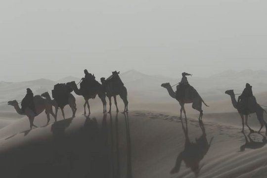 Königin der Wüste - Szenenbild 13
