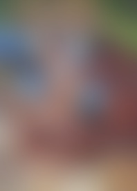 M*a - F*n P*t f*r d*h