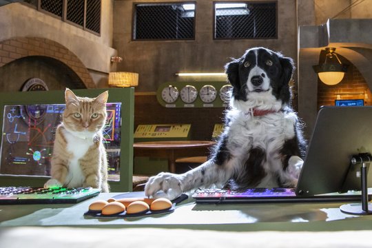 Cats & Dogs 3 - Szenenbild 1