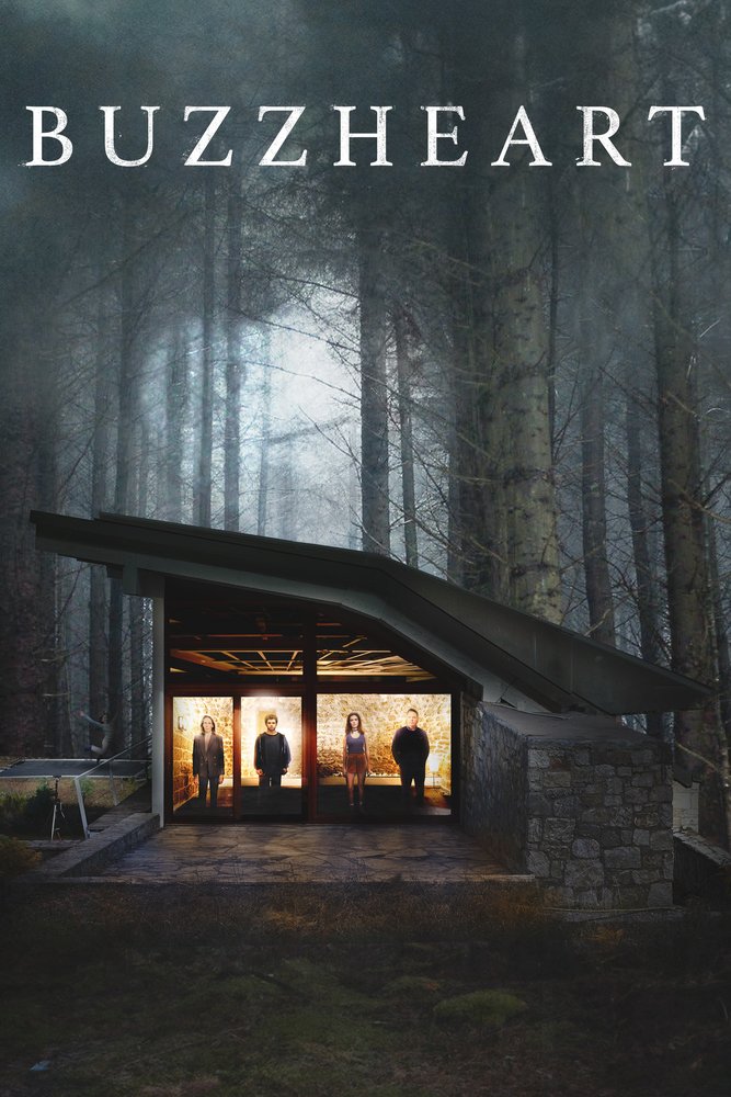 Buzzheart - Stream Cover Buzzheart - Stream Cover