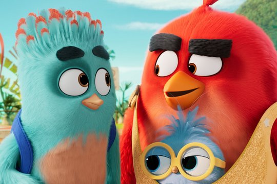 Angry Birds 3 - Szenenbild 4 Angry Birds 3 - Szenenbild 4
