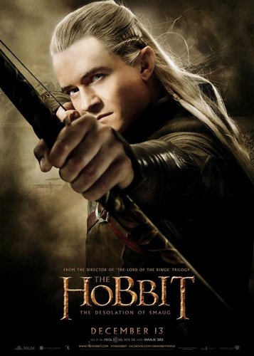 Der Hobbit 2 - Smaugs Einöde - Poster 14