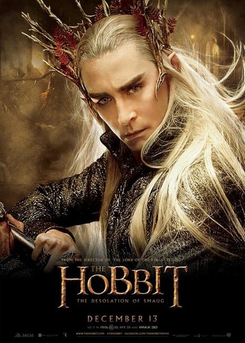 Der Hobbit 2 - Smaugs Einöde - Poster 15