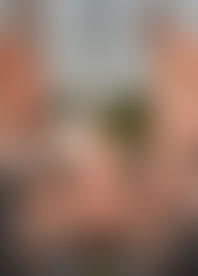 G*g A*l O*t W*h A G*g 3