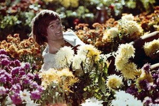 Aus dem Leben eines Taugenichts - Szenenbild 2 Aus dem Leben eines Taugenichts - Szenenbild 2