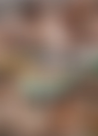 Bi S*x P*y V*. 36 - B*e S*d