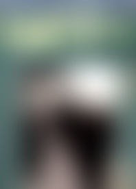 G*y E*a F*m t*e P*t #5