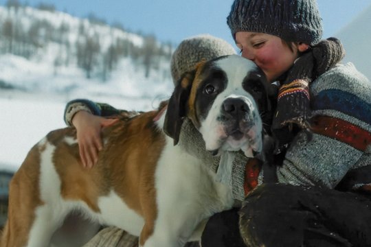 Mein Freund Barry - Szenenbild 2 Mein Freund Barry - Szenenbild 2