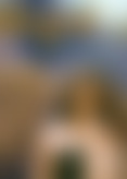 P*s 3