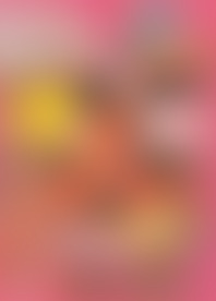 D*y H*s R*l A*s 17 - B*k F*m B*d