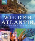 Wilder Atlantik
